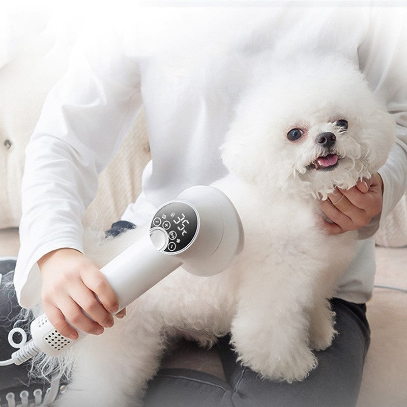 Smart Pet Hair Dryer. Ecclant